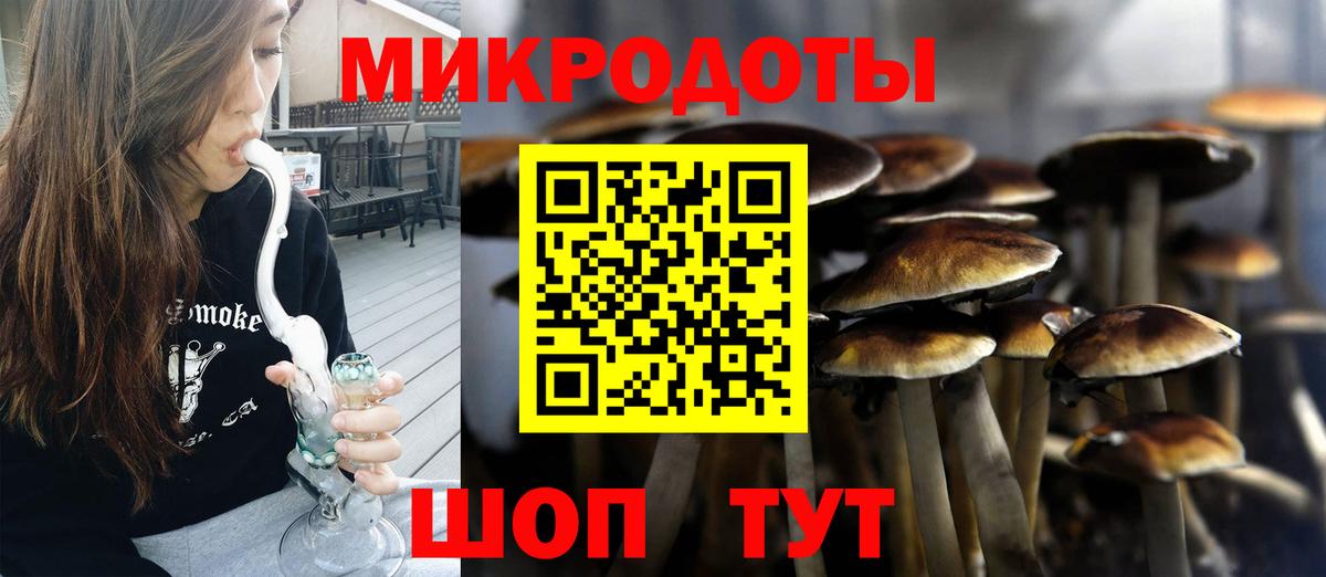 Псилоцибиновые грибы Psilocybine cubensis  Вход с VPN  Дюртюли 